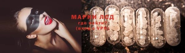 крисы Корсаков