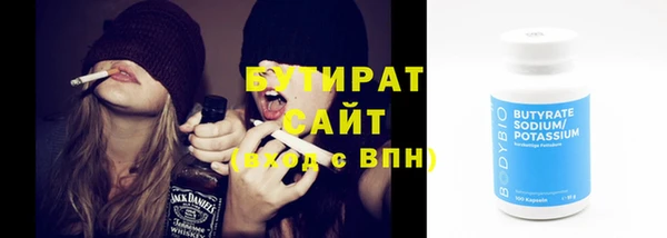 крисы Корсаков