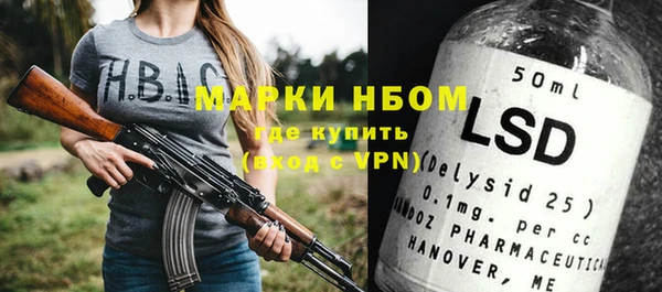 крисы Корсаков