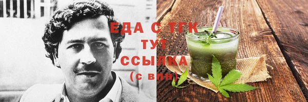 крисы Корсаков
