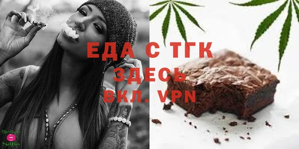 крисы Корсаков