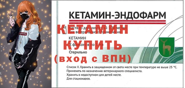 крисы Корсаков
