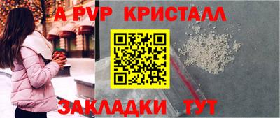 прущие грибы Норильск
