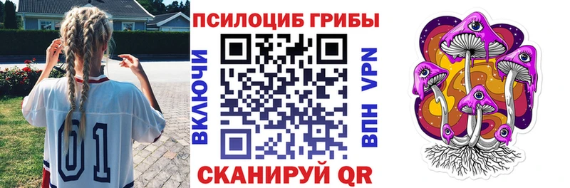 где купить наркотик  Кстово  даркнет Telegram  Галлюциногенные грибы Psilocybe 